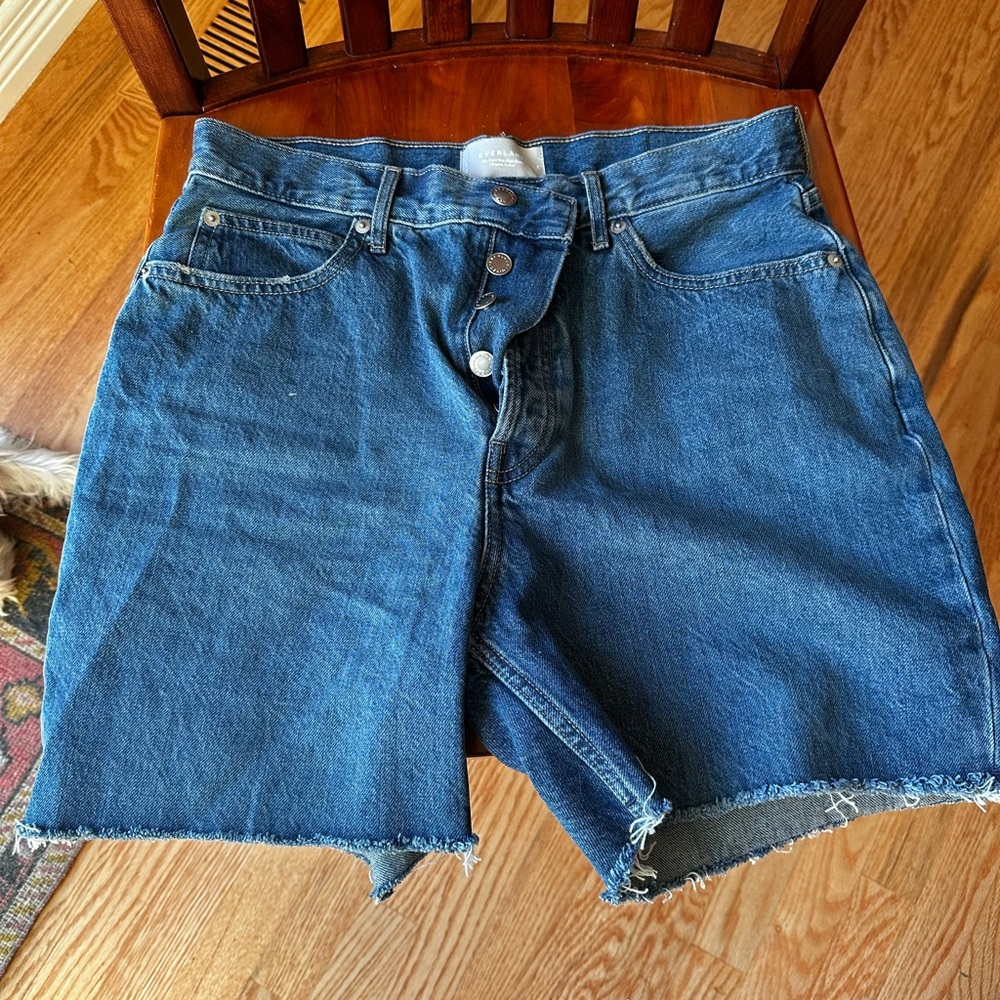 Everlane Blue Jean Shorts High-Waisted Frayed Hem